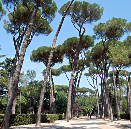 Die Villa Borghese mit ihren ausgedehnten Parkanlagen Rom foto