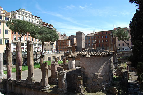 Largo di Torre Argentina square in Rome photo