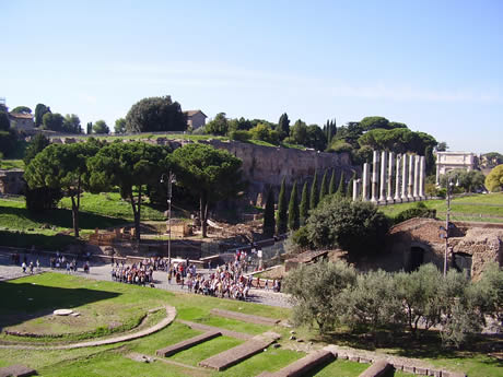 The Palatine hill in Rome photo