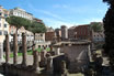 Largo Di Torre Argentina Square In Rome