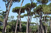 Parc De Villa Borghese