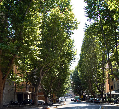 Via Veneto via Della Dolce Vita de Rome photo